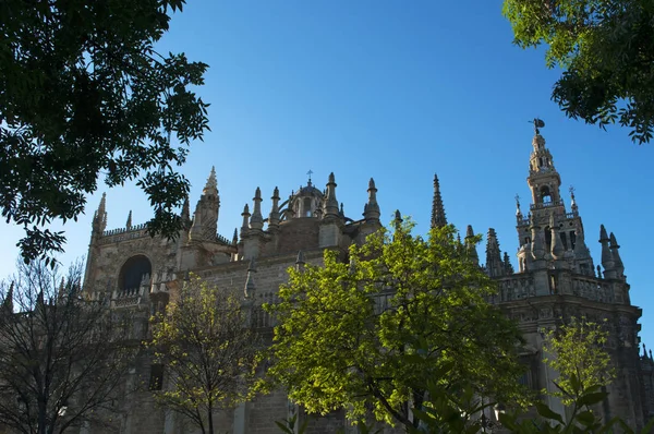 Spanien: die Kathedrale der Heiligen Maria vom See, die Kathedrale von Sevilla, die ehemalige Moschee, die 1507 als katholische Kirche geweiht wurde, in der Christopher Kolumbus begraben liegt, und die Giralda, ein Glockenturm, der in maurischer Zeit als Minarett erbaut wurde — Stockfoto