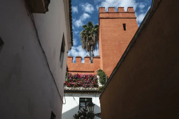 Spanje: weergave van de steegjes en de paleizen van de Barrio de Santa Cruz, de belangrijkste toeristische buurt van Sevilla en de voormalige Joodse wijk van de middeleeuwse stad — Stockfoto