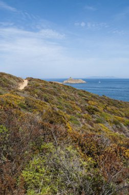 Corsica: Cap Corse doğa manzaralı kıyı yolda Akdeniz maki les Iles Finocchiarola, A Terra, Mezzana ve Finocchiarola adlı üç küçük ada rezerv.