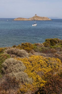 Corsica: Doğa Manzaralı Cap Corse Akdeniz denizde yelkenli rezerv les Iles Finocchiarola, A Terra, Mezzana ve Finocchiarola adlı üç küçük ada