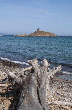 Corsica: Plage des Iles (Beach Adaları) doğa manzaralı bir ağaç gövdesinde rezerv les Iles Finocchiarola, A Terra, Mezzana ve Finocchiarola adlı üç küçük ada