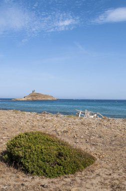 Corsica: Plage des Iles (Beach Adaları) manzaralı les Iles Finocchiarola doğa rezerv, üç küçük adlandırılmış A Terra, Mezzana Finocchiarola ada ve