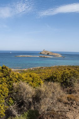 Corsica: Cap Corse doğa manzaralı kıyı yolda Akdeniz maki les Iles Finocchiarola, A Terra, Mezzana ve Finocchiarola adlı üç küçük ada rezerv.