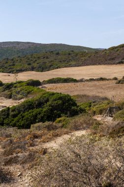 Corsica: Akdeniz maki Sentier des Douaniers (özel subay Route), gümrük memurları tarafından geçmişte kullanılan Cap Corse 19 km uzun kıyı yolda boyunca nefes kesen manzarası