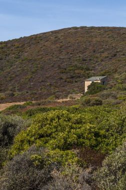 Corsica: Akdeniz maki Sentier des Douaniers (özel subay Route), gümrük memurları tarafından geçmişte kullanılan Cap Corse 19 km uzun kıyı yolda boyunca nefes kesen manzarası