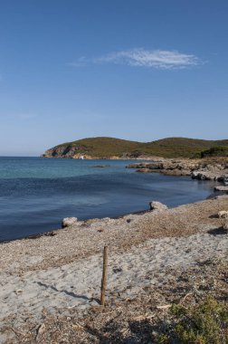 Corsica: Görünüm Plage de Santa Maria, Cap Corse, kumlu ve kayalık koyları Akdeniz maki tarafından çevrili uzun bir streç en ünlü ve vahşi plajları