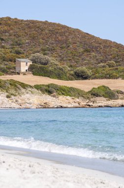Corsica: Plage de Tamarone, Tamarone beach, Cap Corse, kumlu ve kayalık koyları Akdeniz maki tarafından çevrili uzun bir streç en ünlü ve vahşi plajlardan görünümünü