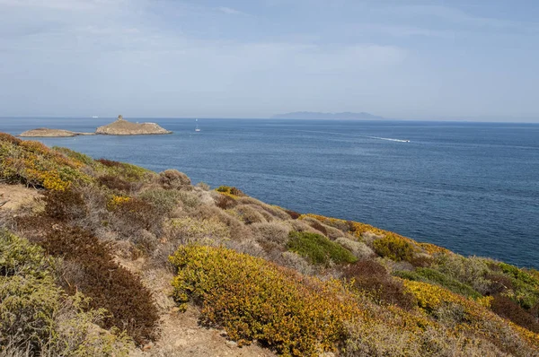 Corsica: Cap Corse doğa manzaralı kıyı yolda Akdeniz maki les Iles Finocchiarola, A Terra, Mezzana ve Finocchiarola adlı üç küçük ada rezerv.