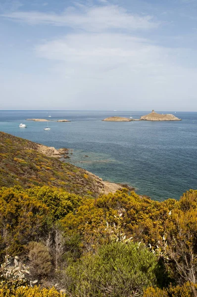 Corsica: Cap Corse doğa manzaralı kıyı yolda Akdeniz maki les Iles Finocchiarola, A Terra, Mezzana ve Finocchiarola adlı üç küçük ada rezerv. — Stok fotoğraf