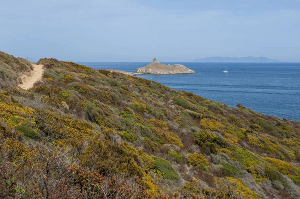 Corsica: Cap Corse doğa manzaralı kıyı yolda Akdeniz maki les Iles Finocchiarola, A Terra, Mezzana ve Finocchiarola adlı üç küçük ada rezerv.