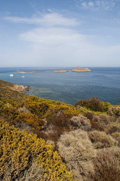 Corsica: Cap Corse doğa manzaralı kıyı yolda Akdeniz maki les Iles Finocchiarola, A Terra, Mezzana ve Finocchiarola adlı üç küçük ada rezerv. — Stok fotoğraf