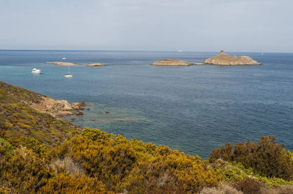 Corsica: Cap Corse doğa manzaralı kıyı yolda Akdeniz maki les Iles Finocchiarola, A Terra, Mezzana ve Finocchiarola adlı üç küçük ada rezerv.