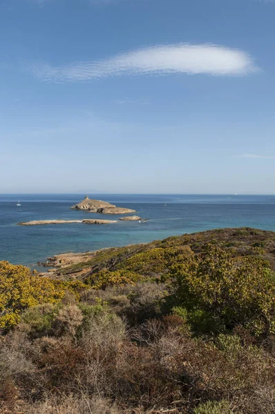 Córcega: maquis mediterráneos en un camino costero en el Cap Corse con vistas a la reserva natural de les Iles Finocchiarola, la pequeña isla llamada A Terra, Mezzana y Finocchiarola — Foto de Stock