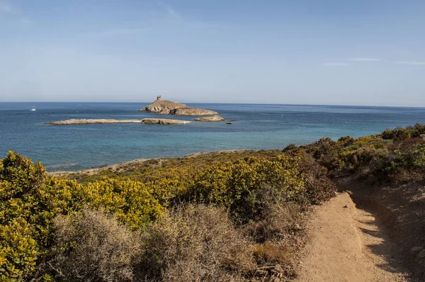 Корсика: Средиземноморский маки на прибрежной тропе на Cap Corse с видом на заповедник les Iles Finocchiarola, три маленьких острова под названием Терра, Меццана и Finocchiarola — стоковое фото