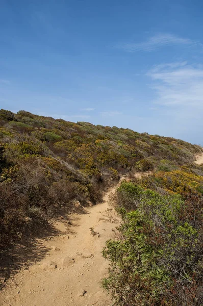 Corsica: Akdeniz maki Sentier des Douaniers (özel subay Route), gümrük memurları tarafından geçmişte kullanılan Cap Corse 19 km uzun kıyı yolda boyunca nefes kesen manzarası