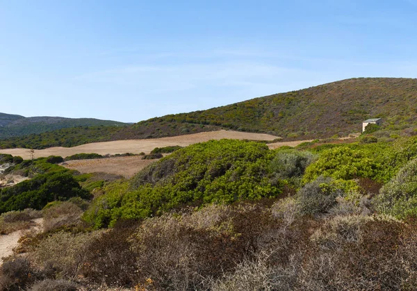Corsica: Akdeniz maki Sentier des Douaniers (özel subay Route), gümrük memurları tarafından geçmişte kullanılan Cap Corse 19 km uzun kıyı yolda boyunca nefes kesen manzarası