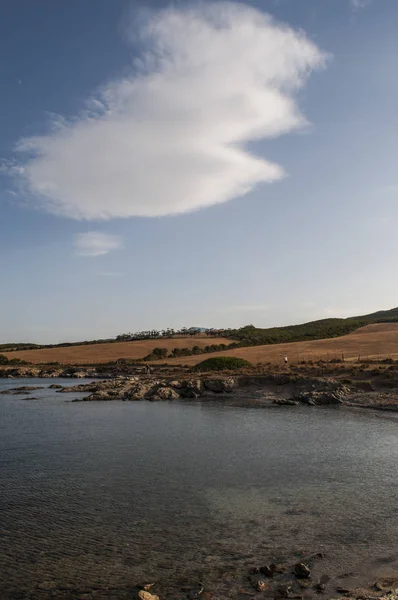 Corsica: Görünüm Plage de Santa Maria, Cap Corse, kumlu ve kayalık koyları Akdeniz maki tarafından çevrili uzun bir streç en ünlü ve vahşi plajları
