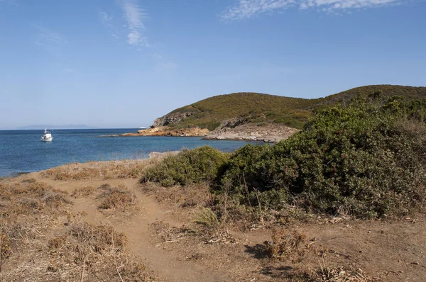 Corsica: Görünüm Plage de Santa Maria, Cap Corse, kumlu ve kayalık koyları Akdeniz maki tarafından çevrili uzun bir streç en ünlü ve vahşi plajları