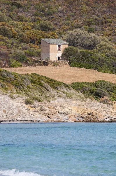 Corsica: Plage de Tamarone, Tamarone beach, Cap Corse, kumlu ve kayalık koyları Akdeniz maki tarafından çevrili uzun bir streç en ünlü ve vahşi plajlardan görünümünü