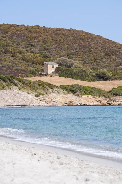 Corsica: Plage de Tamarone, Tamarone beach, Cap Corse, kumlu ve kayalık koyları Akdeniz maki tarafından çevrili uzun bir streç en ünlü ve vahşi plajlardan görünümünü