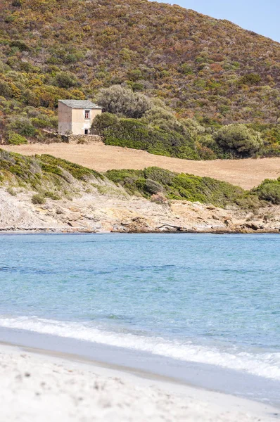 Corsica: Plage de Tamarone, Tamarone beach, Cap Corse, kumlu ve kayalık koyları Akdeniz maki tarafından çevrili uzun bir streç en ünlü ve vahşi plajlardan görünümünü