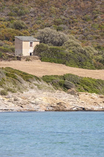 Corsica: Plage de Tamarone, Tamarone beach, Cap Corse, kumlu ve kayalık koyları Akdeniz maki tarafından çevrili uzun bir streç en ünlü ve vahşi plajlardan görünümünü
