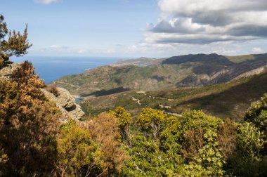 Corsica: panoramik Cap Corse, Dağları, Akdeniz ve Akdeniz maki ile onun tabiat manzarası için ünlü Fransız adasının Kuzey Yarımadası