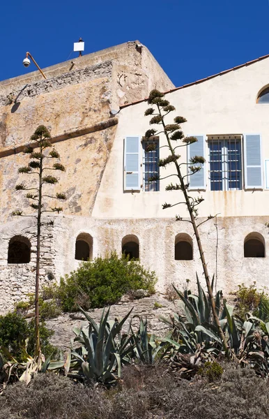 Korsika: antik duvarlar ve eski şehir Bonifacio, Guy de Maupassant'ın kısa öykü, kan davası ayar olduğu için ünlü adanın güney ucunda, şehir manzarası