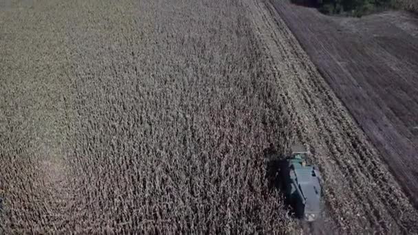 Traktor samla sådd, antenn synfält på ett fält med en traktor som plocka upp grödan. Jordbruk och odling, korn, landsbygden — Stockvideo