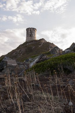 Corsica: sunset bulvarında La Parata kule, yıkık bir Ceneviz Kulesi 1608 La Parata Cape Iles Sanguinaires (Bloody Adaları önünde Ajaccio Körfezi'nin Kuzey sonunda üstüne inşa)