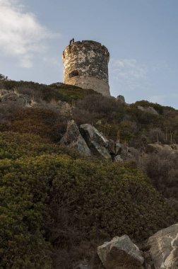 Corsica: sunset bulvarında La Parata kule, yıkık bir Ceneviz Kulesi 1608 La Parata Cape Iles Sanguinaires (Bloody Adaları önünde Ajaccio Körfezi'nin Kuzey sonunda üstüne inşa)