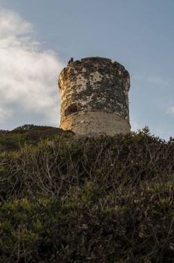 Corsica: sunset bulvarında La Parata kule, yıkık bir Ceneviz Kulesi 1608 La Parata Cape Iles Sanguinaires (Bloody Adaları önünde Ajaccio Körfezi'nin Kuzey sonunda üstüne inşa)