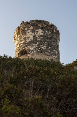 Corsica: sunset bulvarında La Parata kule, yıkık bir Ceneviz Kulesi 1608 La Parata Cape Iles Sanguinaires (Bloody Adaları önünde Ajaccio Körfezi'nin Kuzey sonunda üstüne inşa)