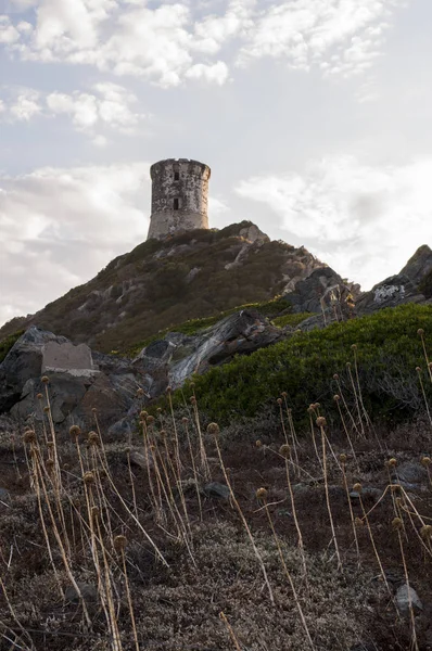 Corsica: sunset bulvarında La Parata kule, yıkık bir Ceneviz Kulesi 1608 La Parata Cape Iles Sanguinaires (Bloody Adaları önünde Ajaccio Körfezi'nin Kuzey sonunda üstüne inşa)