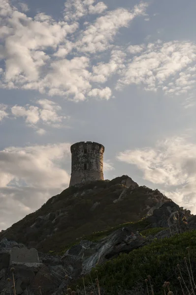 Корсика: закат на башне Ла Парата, разрушенной генуэзской башне, построенной в 1608 году на вершине мыса Ла Парата на северной оконечности залива Аяччо перед островами Сангинери (Кровавые острова) ) — стоковое фото