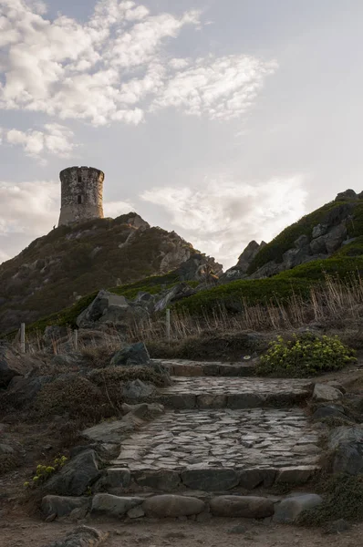 Corsica: sunset bulvarında La Parata kule, yıkık bir Ceneviz Kulesi 1608 La Parata Cape Iles Sanguinaires (Bloody Adaları önünde Ajaccio Körfezi'nin Kuzey sonunda üstüne inşa)