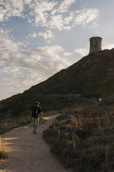 Corsica: sunset bulvarında La Parata kule, yıkık bir Ceneviz Kulesi 1608 La Parata Cape Iles Sanguinaires (Bloody Adaları önünde Ajaccio Körfezi'nin Kuzey sonunda üstüne inşa)
