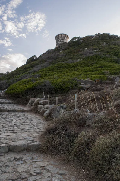 Corsica: sunset bulvarında La Parata kule, yıkık bir Ceneviz Kulesi 1608 La Parata Cape Iles Sanguinaires (Bloody Adaları önünde Ajaccio Körfezi'nin Kuzey sonunda üstüne inşa)