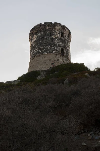 Córcega: puesta de sol en la Torre La Parata, una torre genovesa en ruinas construida en 1608 en la cima del cabo La Parata, en el extremo norte del Golfo de Ajaccio, frente a los Sanguinarios de Iles (Islas Sangrientas) ) — Foto de Stock