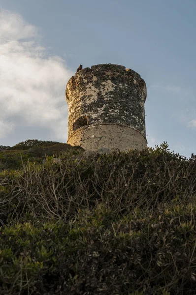 Corsica: sunset bulvarında La Parata kule, yıkık bir Ceneviz Kulesi 1608 La Parata Cape Iles Sanguinaires (Bloody Adaları önünde Ajaccio Körfezi'nin Kuzey sonunda üstüne inşa)