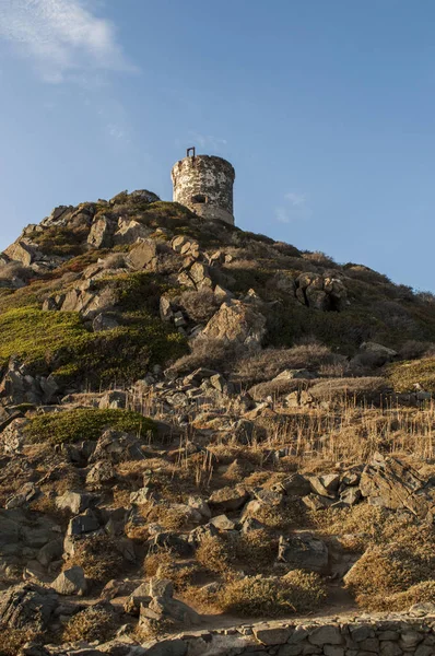 Corsica: sunset bulvarında La Parata kule, yıkık bir Ceneviz Kulesi 1608 La Parata Cape Iles Sanguinaires (Bloody Adaları önünde Ajaccio Körfezi'nin Kuzey sonunda üstüne inşa)