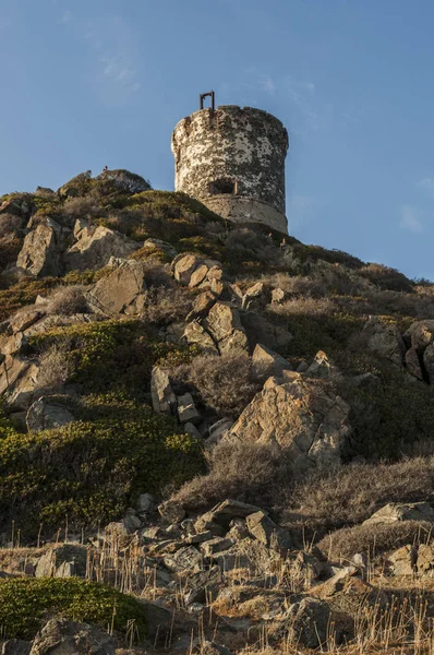 Corsica: sunset bulvarında La Parata kule, yıkık bir Ceneviz Kulesi 1608 La Parata Cape Iles Sanguinaires (Bloody Adaları önünde Ajaccio Körfezi'nin Kuzey sonunda üstüne inşa)