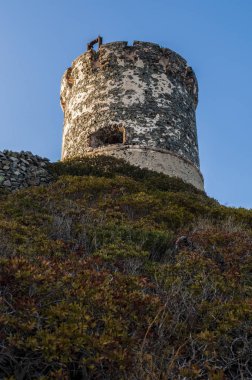 Corsica: sunset bulvarında La Parata kule, yıkık bir Ceneviz Kulesi 1608 La Parata Cape Iles Sanguinaires (Bloody Adaları önünde Ajaccio Körfezi'nin Kuzey sonunda üstüne inşa)