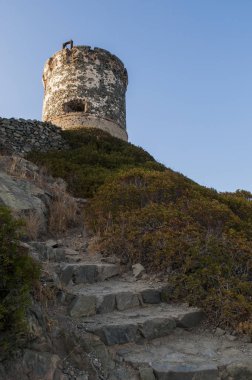 Corsica: sunset bulvarında La Parata kule, yıkık bir Ceneviz Kulesi 1608 La Parata Cape Iles Sanguinaires (Bloody Adaları önünde Ajaccio Körfezi'nin Kuzey sonunda üstüne inşa)