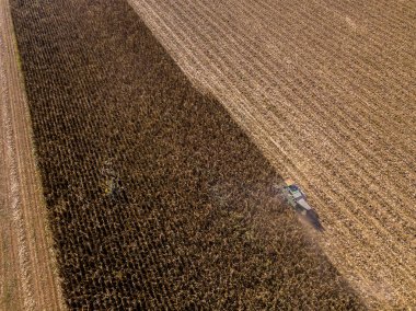 Hasat malzeme çekme tohumdan alanları, alanın cornhusker ürün toplama ile birleştirin hasat ile havadan görünümü birleştirmek