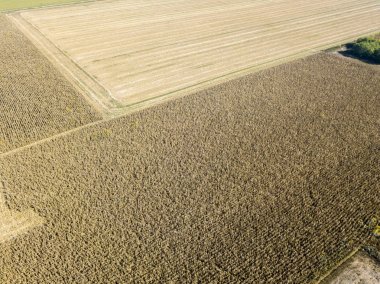 Doğa ve manzara: havadan görünümü bir alan, ekimi, sürülmüş alan, kırsal, tarım