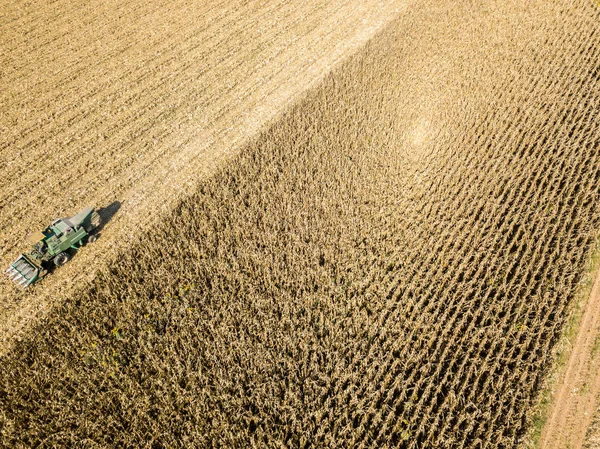 결합 수확기 따기 씨앗에서 필드, 필드와 작물 수집 허스커와 결합 수확기의 항공 보기 — 스톡 사진