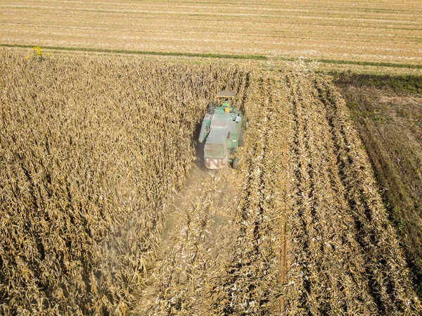 Combine colheitadeira colhendo sementes de campos, vista aérea de um campo com uma colheitadeira com cornhusker recolhendo a cultura — Fotografia de Stock