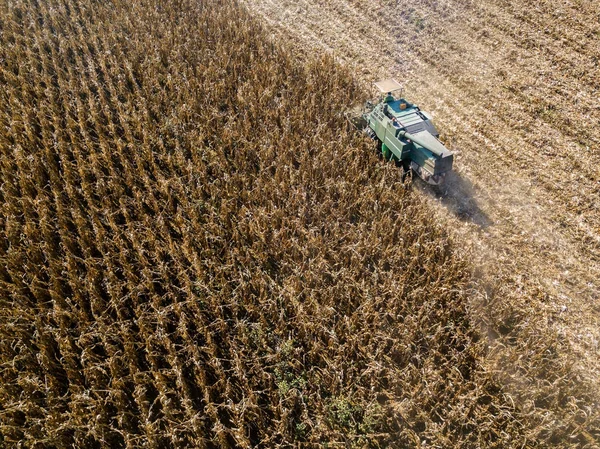 Combine harvester picking seed from fields, aerial view of a field with a combine harvester with cornhusker gathering the crop — Stock Photo, Image