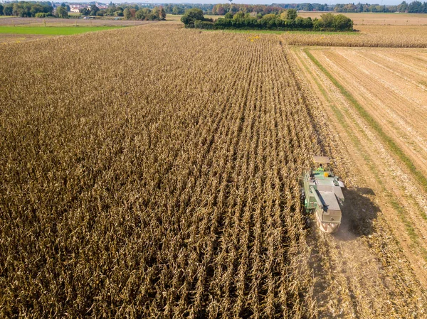 Combineren van harvester plukken zaad uit velden, luchtfoto van een gebied met een combine harvester met cornhusker voor het verzamelen van het gewas — Stockfoto